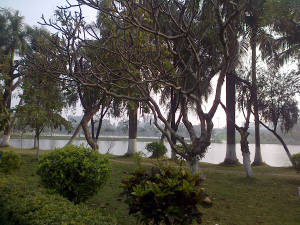 IMG-20150218-00600