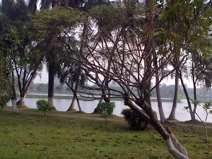 IMG-20150218-00599