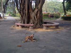 IMG-20150218-00608