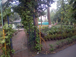 IMG-20150218-00615