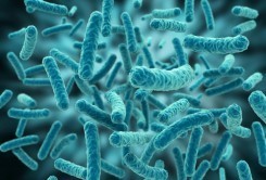 ancestral-microbiome