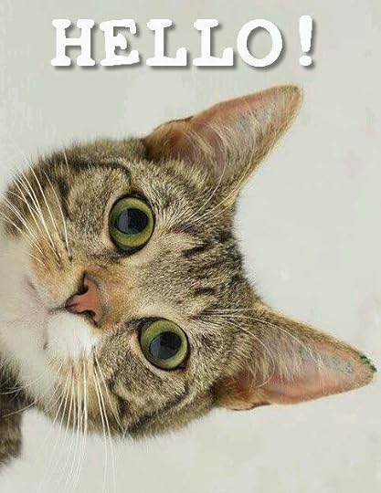  photo 609f392284fd9e5d787ee190ca1bbc40_zpsds3y8lde.jpg