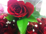 my general photos (29)