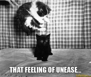 funny-pictures-cyoot-kittehs-of-teh-day-geronimoooooo