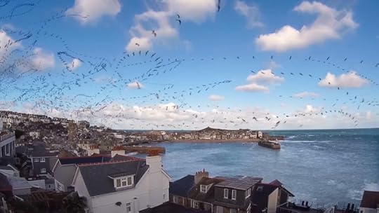 2015-02-17-bird-flight-patterns