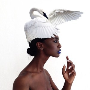 10932252_380514862128664_712964435_n