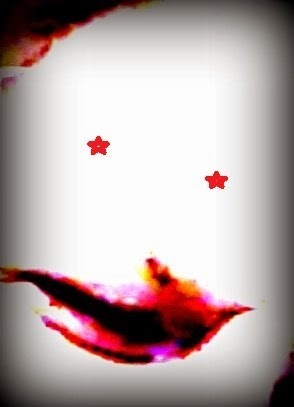 Flash fiction suspense valentines day