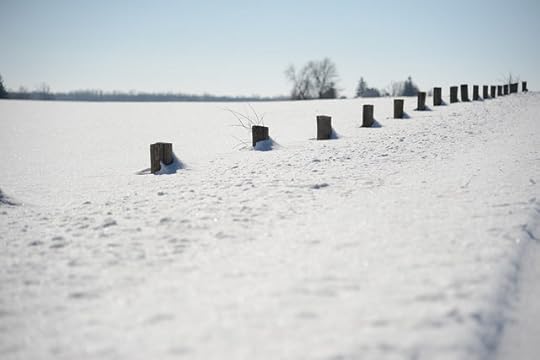 The Call for the Next 40 Days: To the Nations & People of The Cross