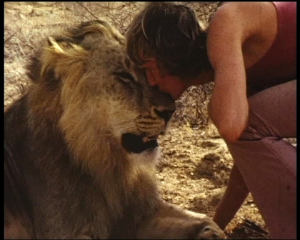 Christian the Lion. 1972.