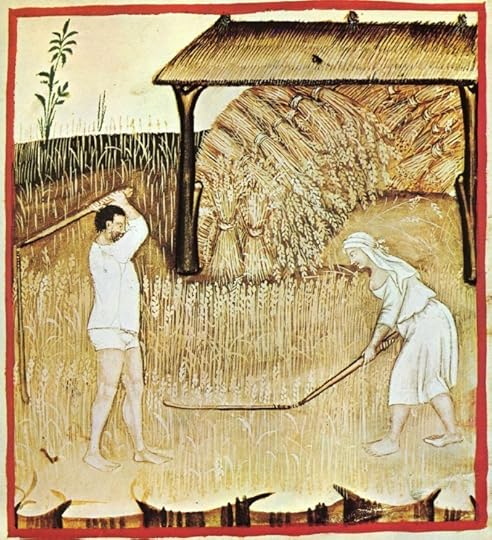 This is threshing