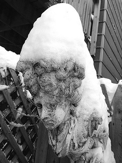 snow face 1 BW