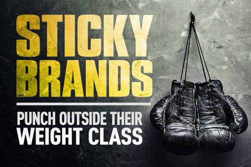 SBQ-Punch-Outside-Weight-class
