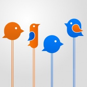 Twitter Followers