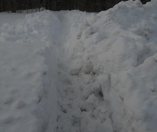 snowplow damage