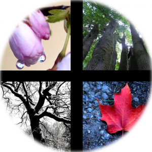 seasons