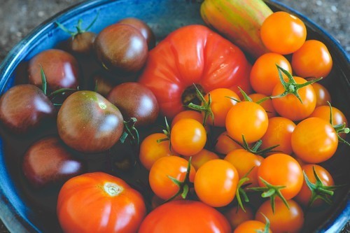 Clockwise from top: Green Zebra, Sungold, Stupice, Black Cherry, and Prudens Purple (center) All photos by: Hilary Dahl