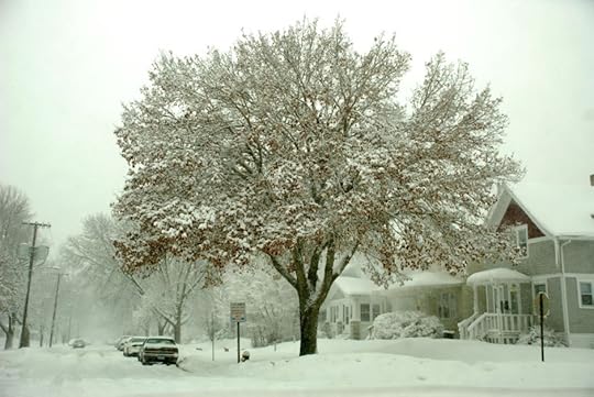 cedar rapids