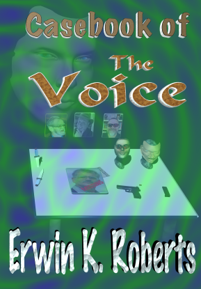 VoiceCasebookFrontCover17
