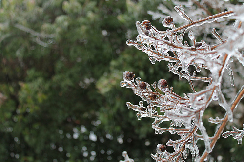 ice storm in Nashville
