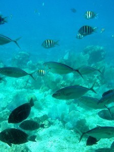 IMG_20120202_123310