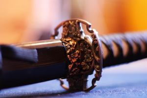 flickr-2874946032-original