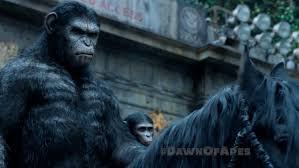 apes, chimpanzees, Dawn of Planet of the Apes