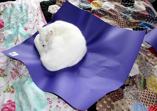 cat_crush