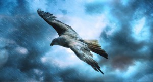 The urge to write - the wings within