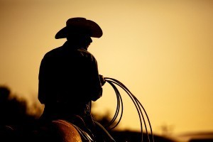rodeo cowboy silhouette