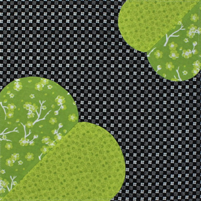 2015 Adventure Quilt Block of the Month by Nancy Zieman/Carefree Curves Template