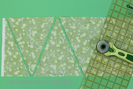 2015 Adventure Quilt Block of the Month by Nancy Zieman/Carefree Curves Template