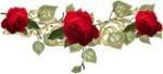 rosevine-1