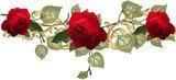 rosevine-1