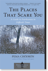 The Places that Scare You cover