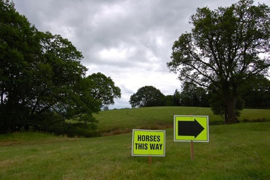 man_vs_horse_3