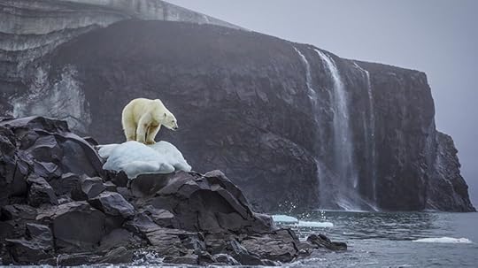 Polar
