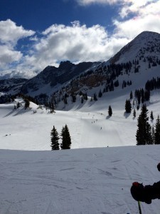 Top of Collins toward Sugarloaf, Alta