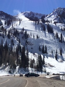 Snowbird from the Alta Bypass Road