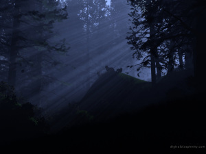 darkness-awaits-night-image