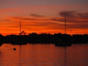 IMG_3363
