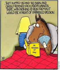 50 shadeso f hay