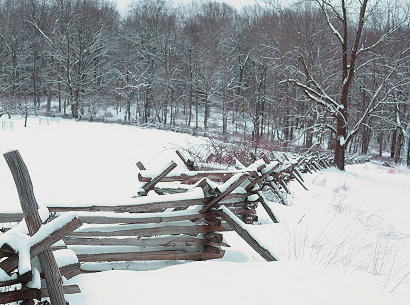 winter fence