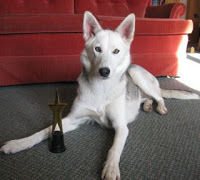 BellaAward