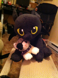 Odin and Toothless