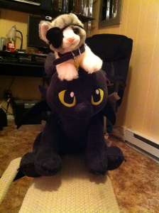 Toothless with thinking cat Odin
