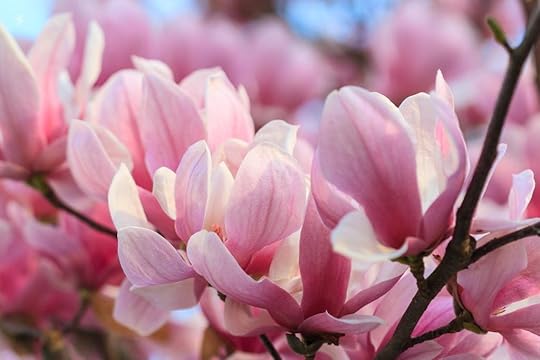  photo rpop-2007-03-26381_zps7gu9biak.jpg