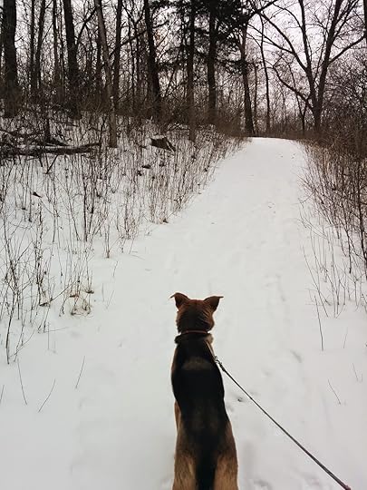 Winter Hiking, Afton State Park, MN