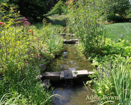LongwoodGardensStream