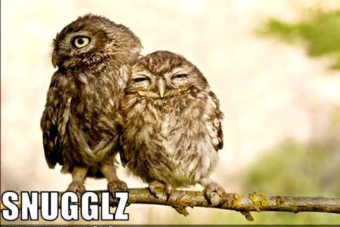 376972_10151456666492815_71016536_n