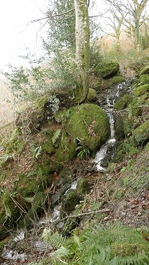 Waterfall on Nattadon Hill